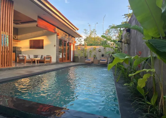 Livin House Villa *